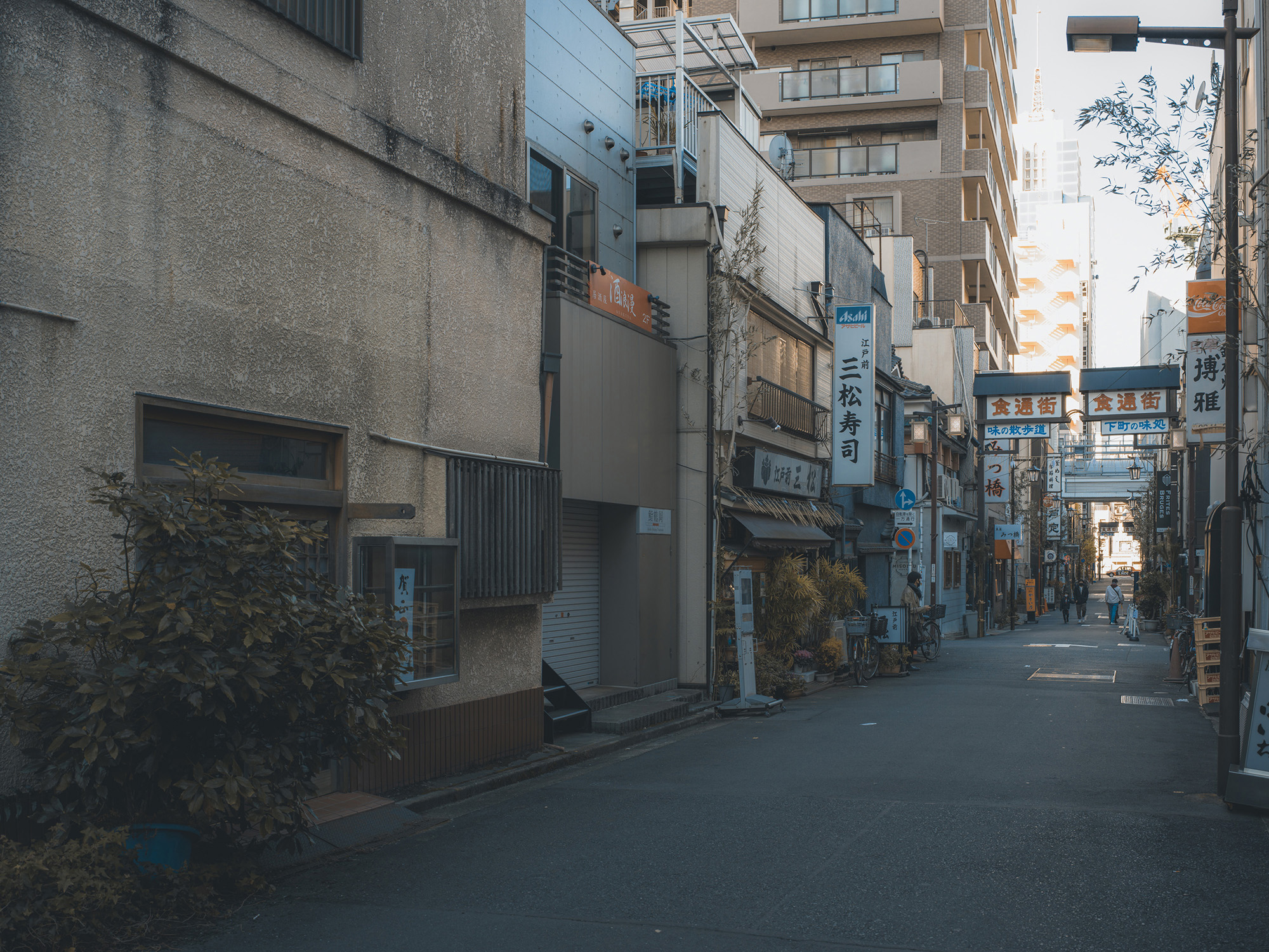 Hasselblad X2D 100C + XCD 35-75mm f/3.5-4.5