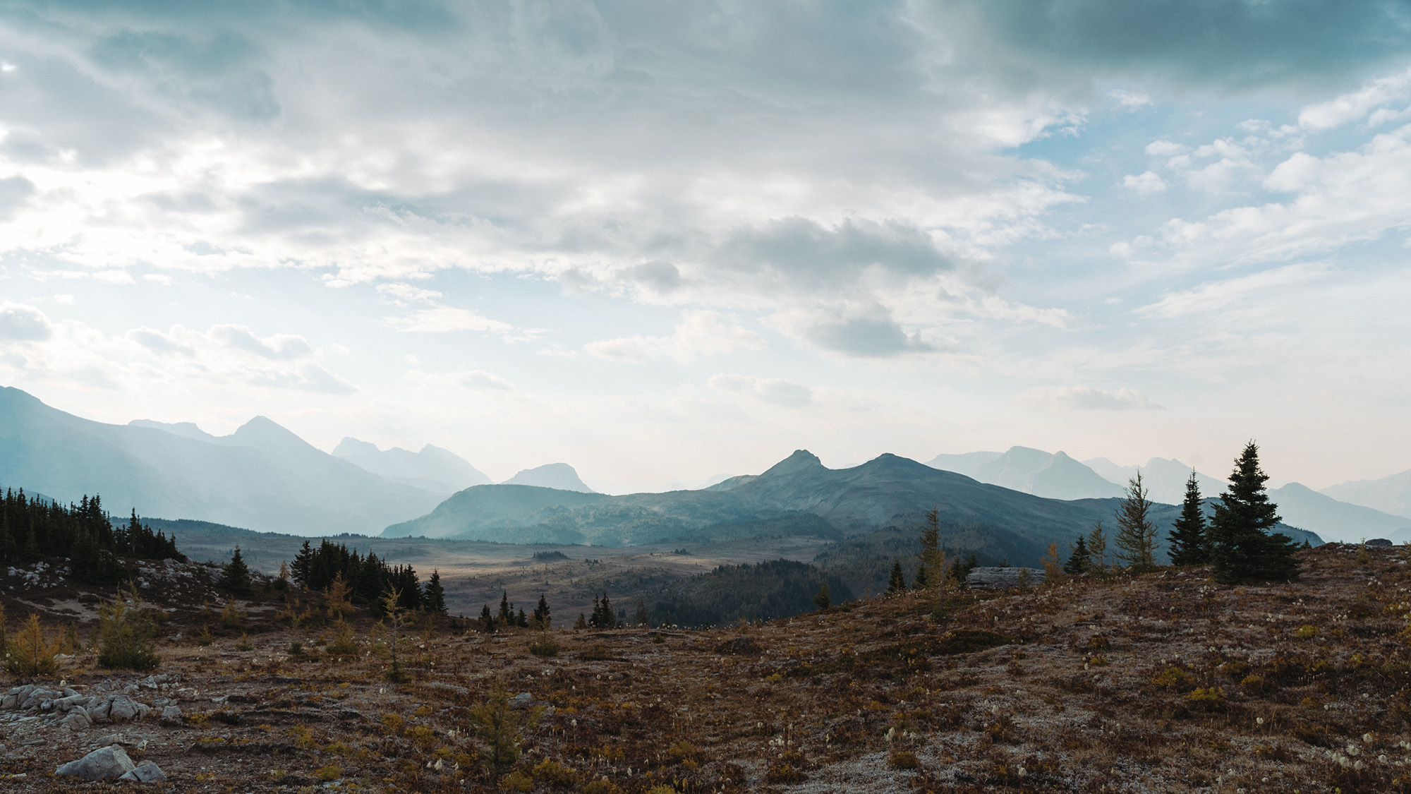 Sony RX1Rm3 + Zeiss Sonnar T* 35mm f/2.0