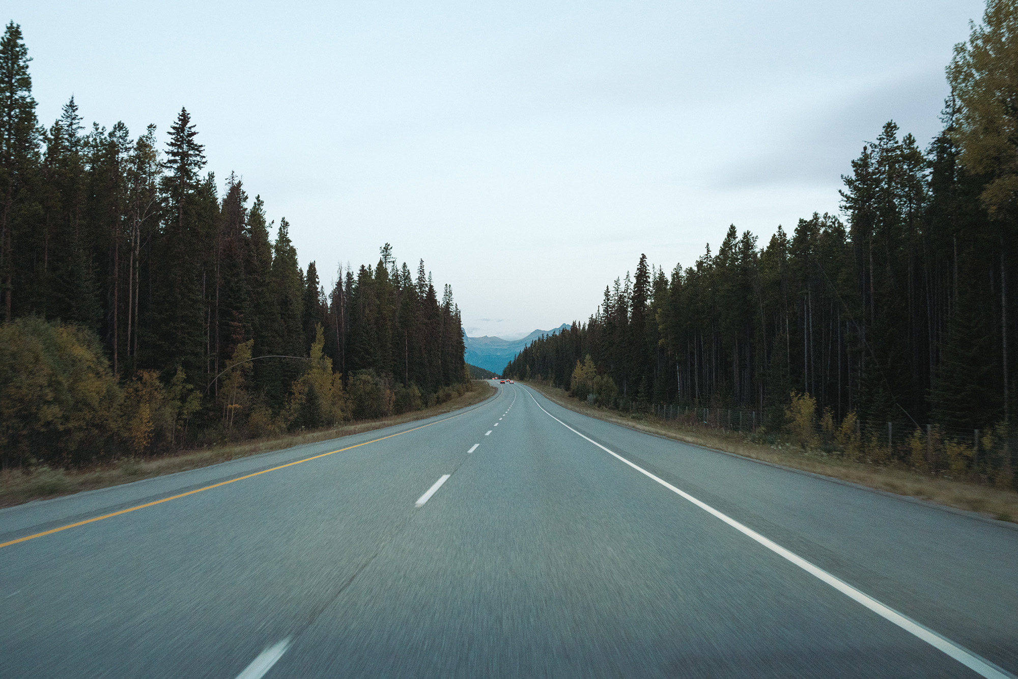 Sony RX1Rm3 + Zeiss Sonnar T* 35mm f/2.0